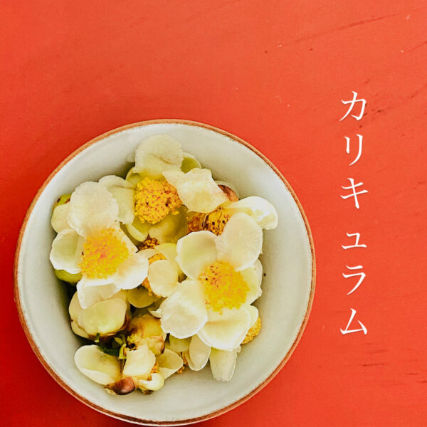 鈴家-suzuya-営業及びカリキュラムのお知らせ